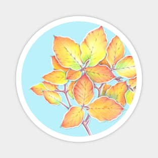 Autumn Glow Magnet